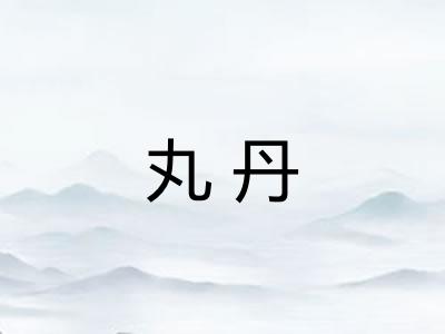 丸丹