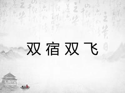 双宿双飞