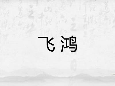 飞鸿 飞鸿