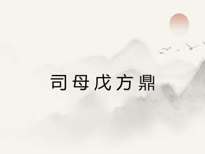 司母戊方鼎 司母戊方鼎