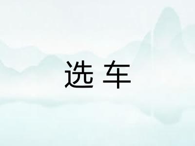 选车