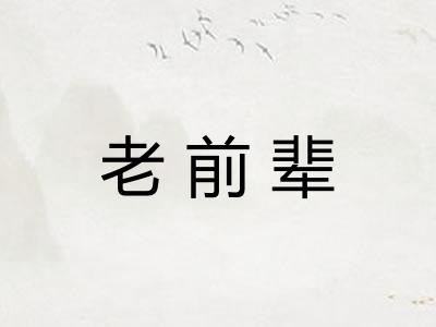 老前辈