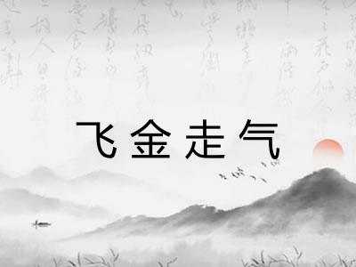 飞金走气