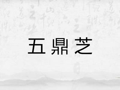 五鼎芝 五鼎芝