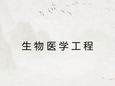 生物医学工程