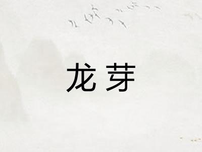 龙芽 龙芽
