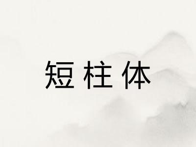 短柱体