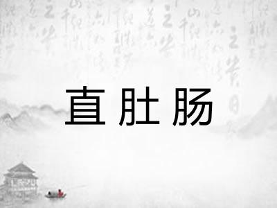 直肚肠