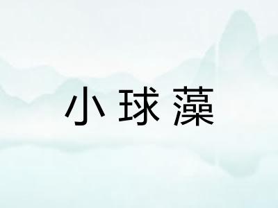 小球藻 小球藻
