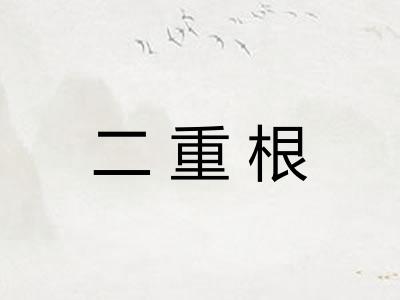 二重根 二重根