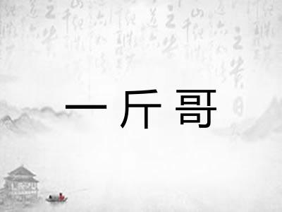 一斤哥 一斤哥