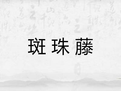 斑珠藤 斑珠藤