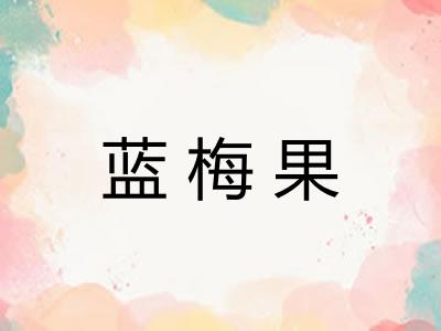 蓝梅果 蓝梅果