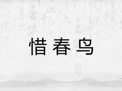 惜春鸟