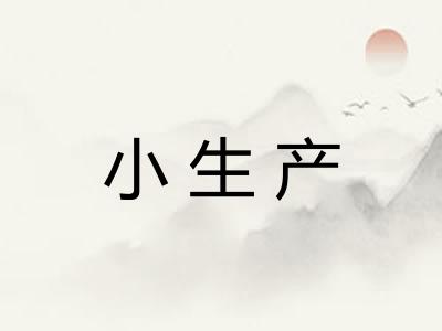 小生产