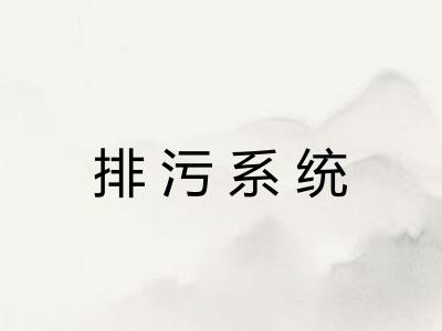 排污系统