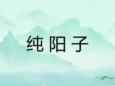 纯阳子
