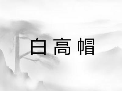 白高帽 白高帽
