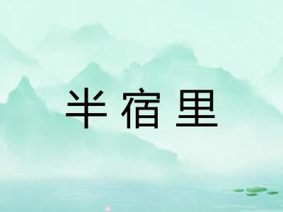 半宿里