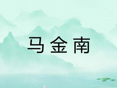 马金南