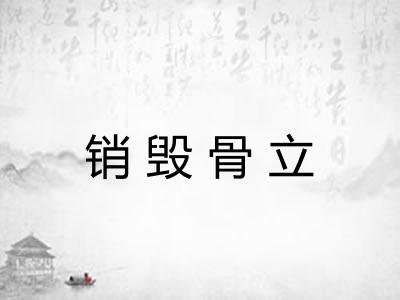 销毁骨立 销毁骨立