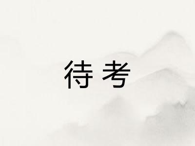 待考