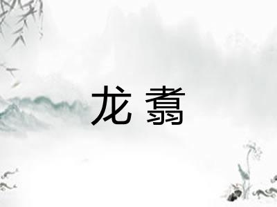 龙翥