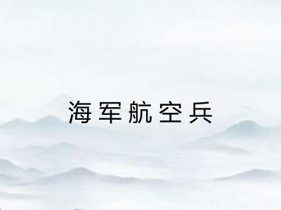 海军航空兵 海军航空兵