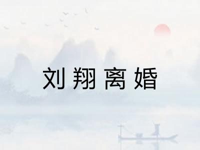 刘翔离婚