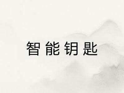 智能钥匙 智能钥匙