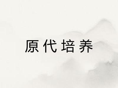 原代培养