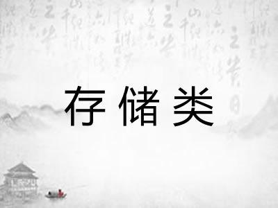 存储类