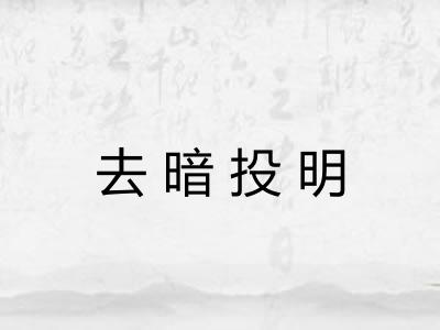 去暗投明