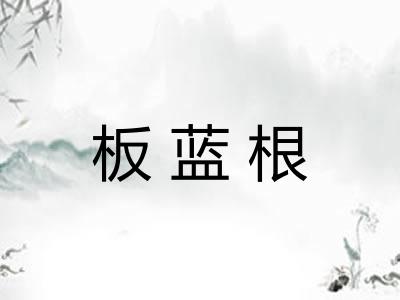 板蓝根 板蓝根