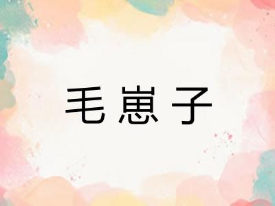 毛崽子