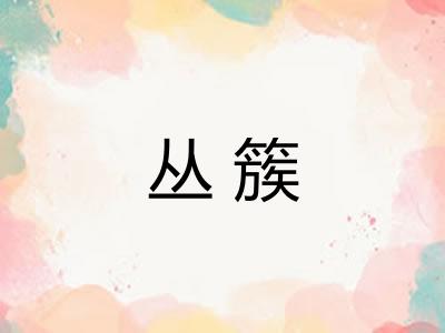 丛簇