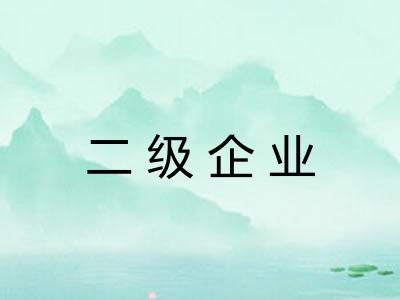 二级企业