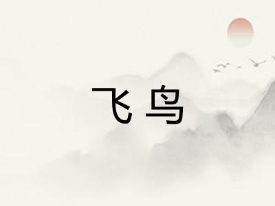 飞鸟