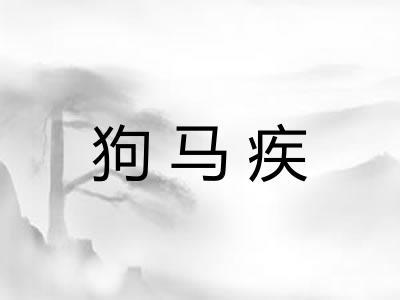 狗马疾