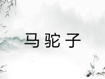马驼子
