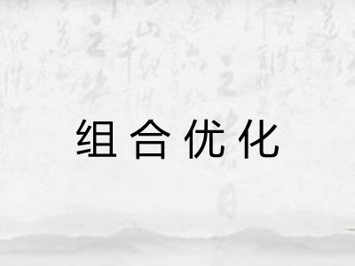 组合优化 组合优化