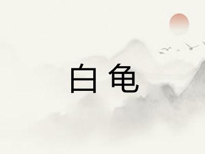 白龟