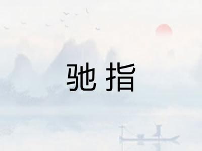 驰指