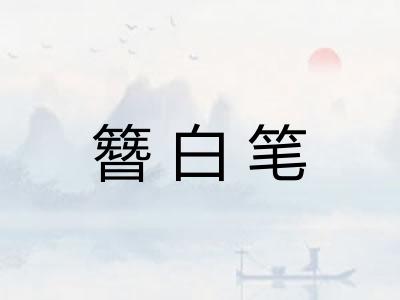 簪白笔