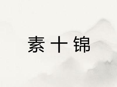 素十锦