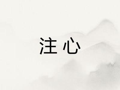 注心 注心