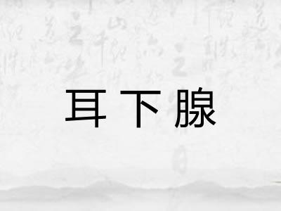 耳下腺 耳下腺
