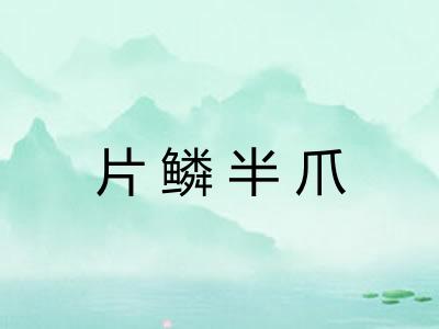 片鳞半爪 片鳞半爪