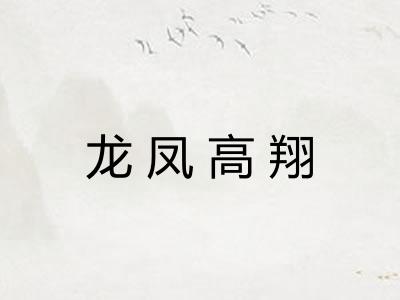 龙凤高翔