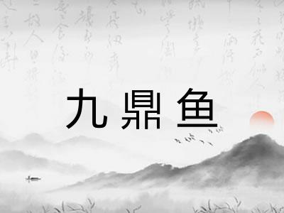 九鼎鱼